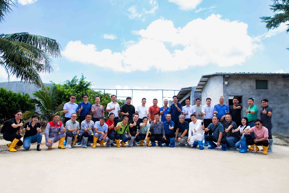 破茧成蝶,共绘蓝图一一液态发酵饲喂助力海南畜牧业腾飞!